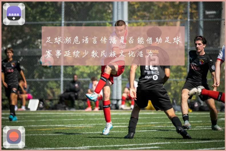 足球濒危语言传播是否能借助足球赛事延续少数民族文化活力
